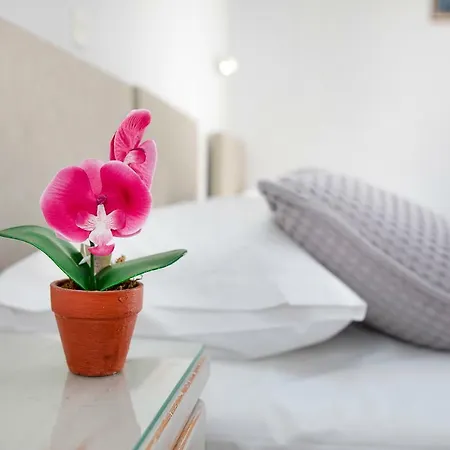 אורחן Lalos פארוס